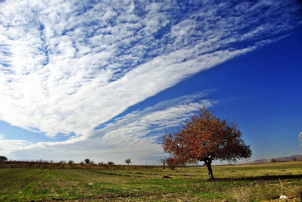 Kapadokya krsal.