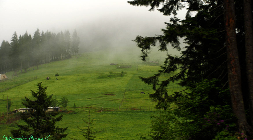 Yeil karadeniz...