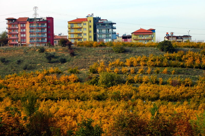 Denizlide sonbahar