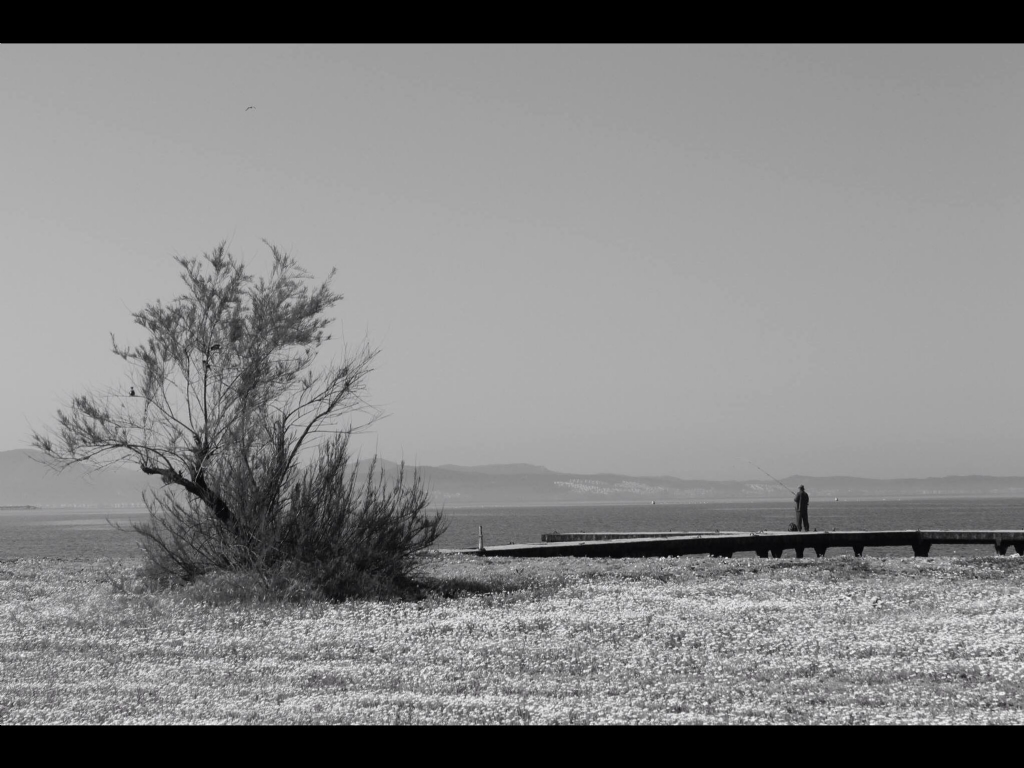 Turban - Akcay 2012 ? 13