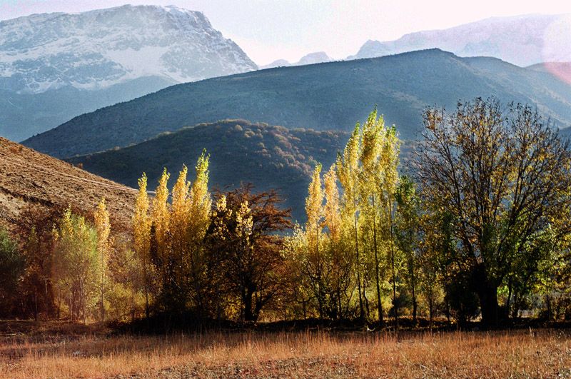 erzincan alayan