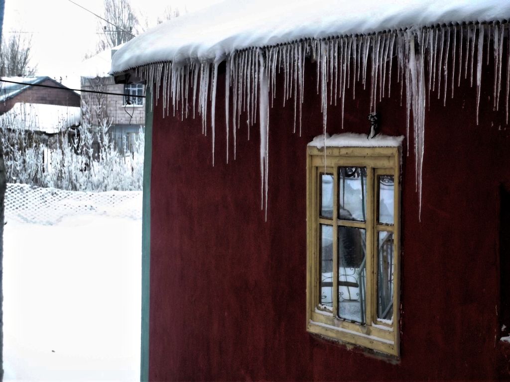 beauties of winter...