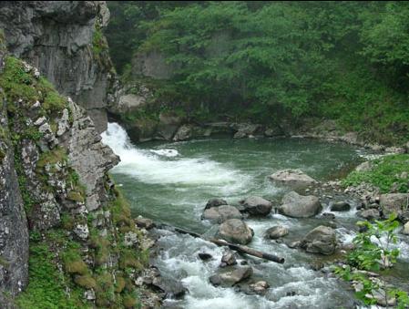 TRABZON DAN