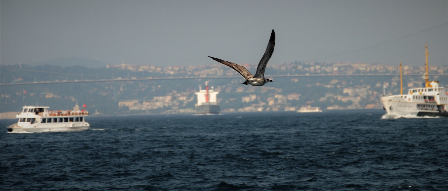 Istanbul.