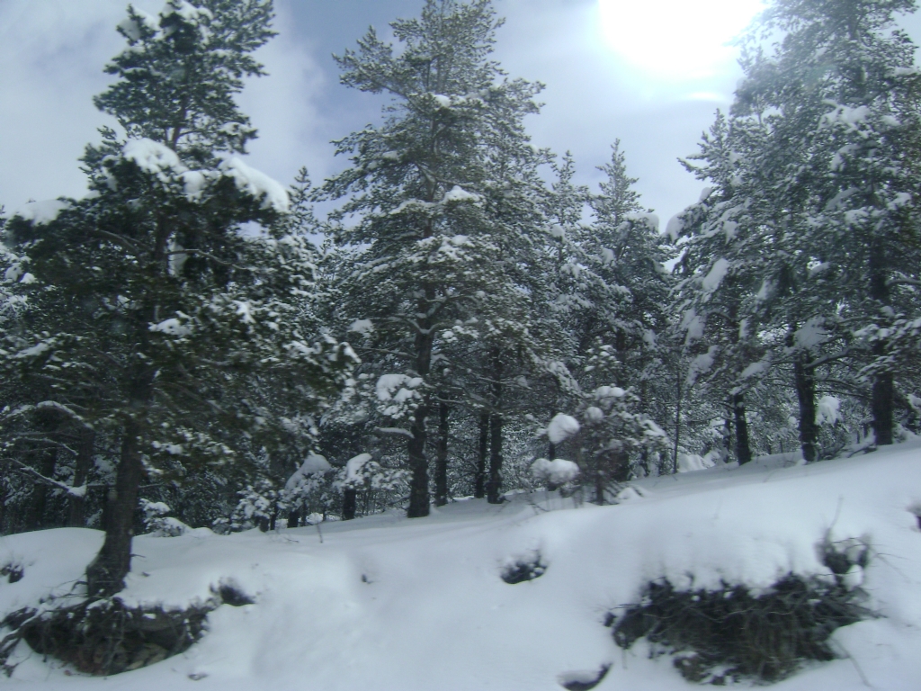 bolu ankara yolu