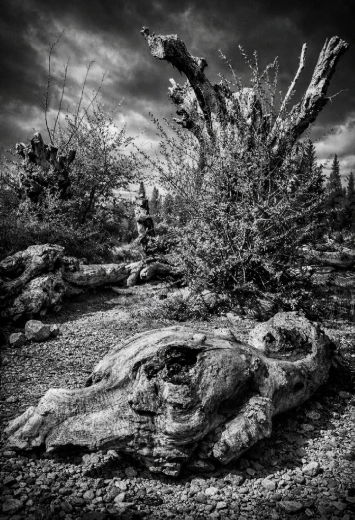 Do�a'n�n ���l���...