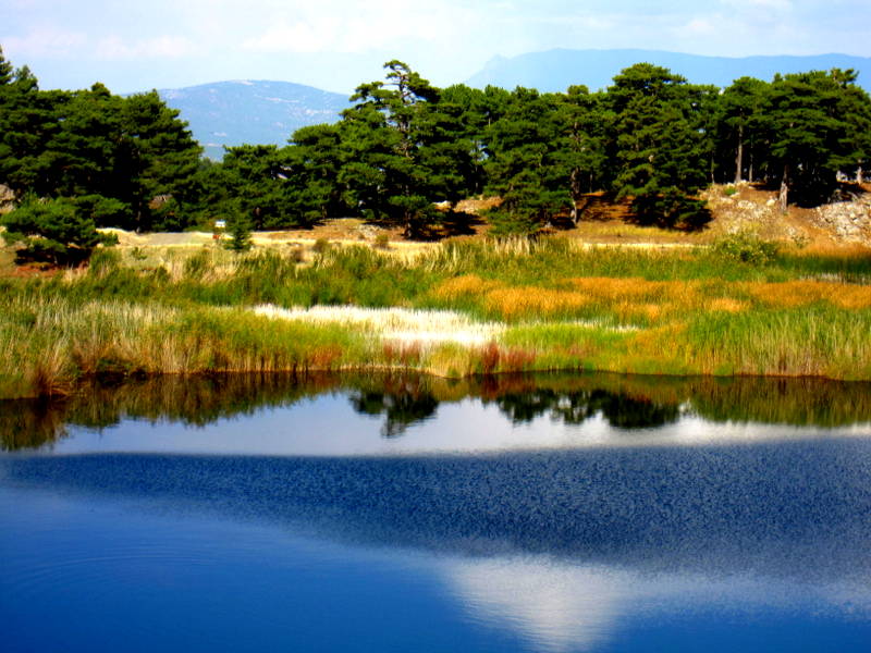 Bozkurt,Karagl, Denizli