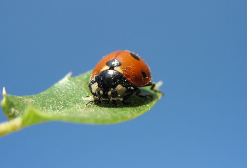 u� u� u�urb��e�i