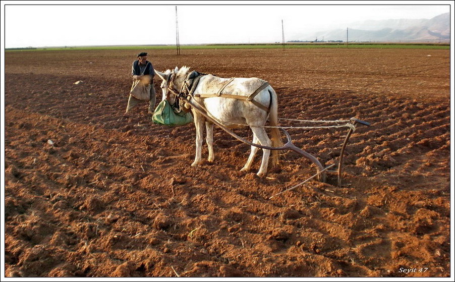 Mardin Yaamdan Kareler  1