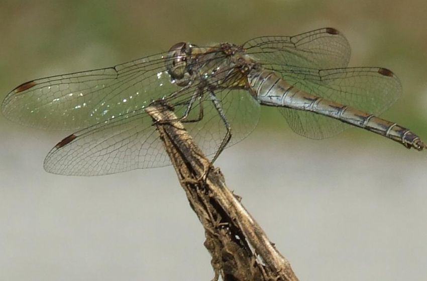 bu pozlar kendi verdi