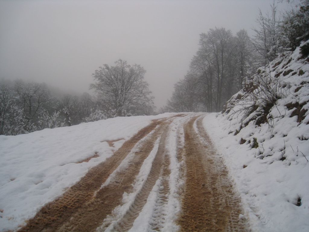 YAYLA YOLU