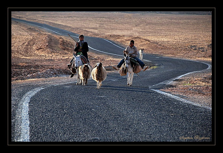 Mardin yaamdan