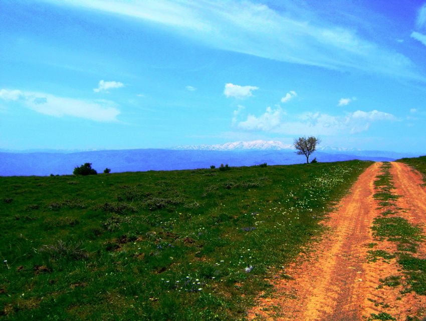 Yayla yolundan Kzlda