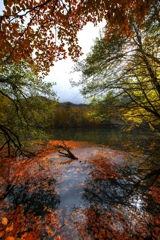 Sonbahar Masal 