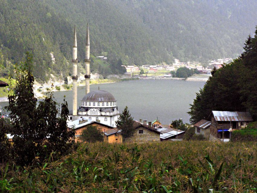 Uzungl