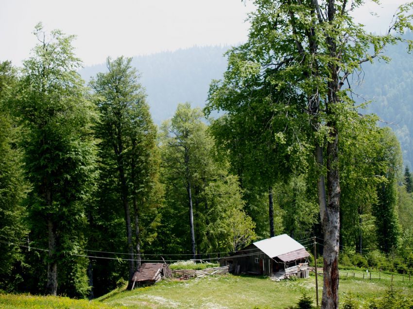 yayla 1740m