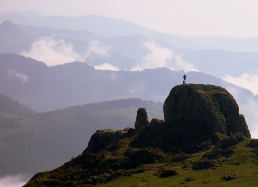 yayla