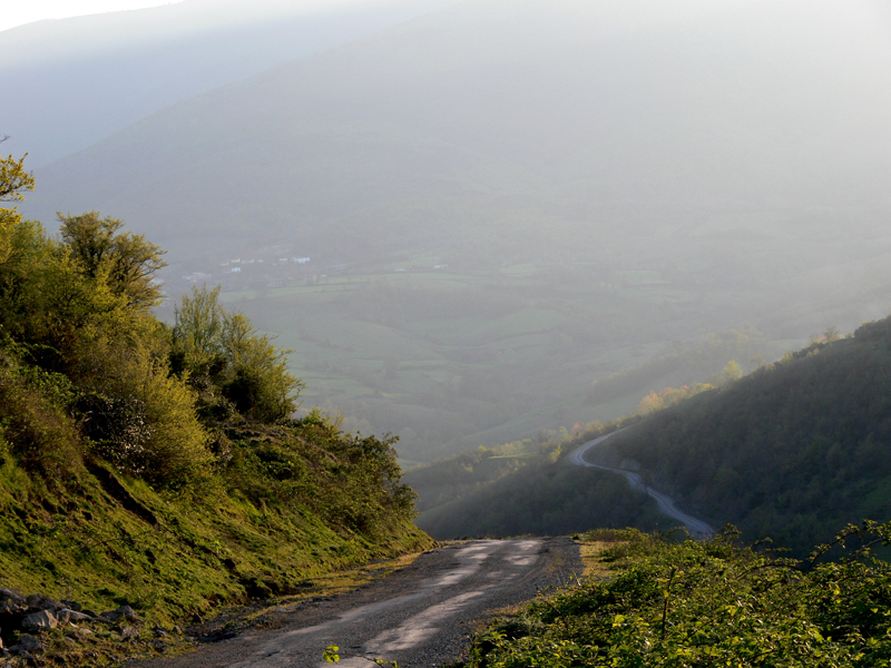 Mehule Giden Yol