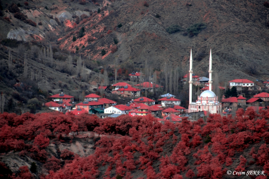 Ankara - ubuk...