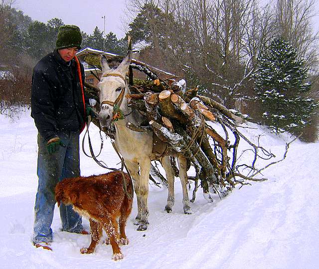 mehmet ve ekibi