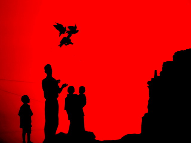 Gvercinleri Uurmann Tam Zaman...