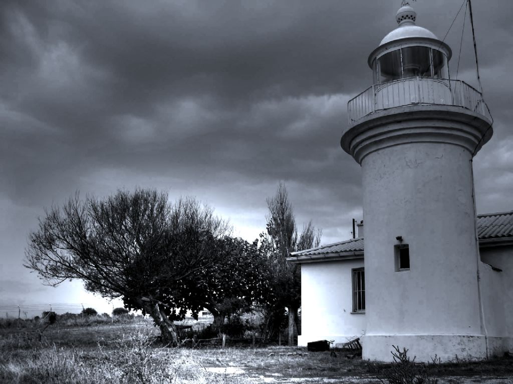 gneada feneri