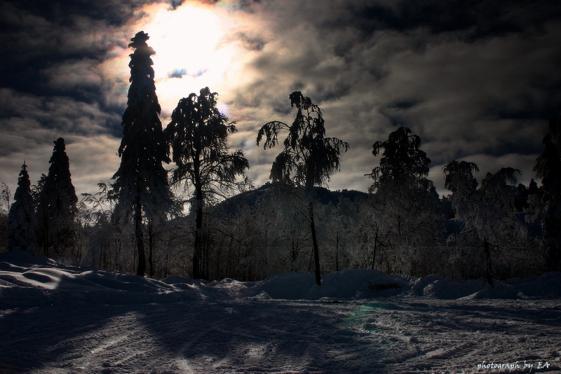 kartepe