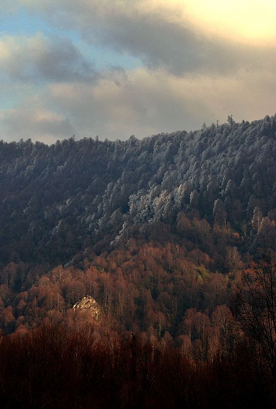 kartepe yolunda