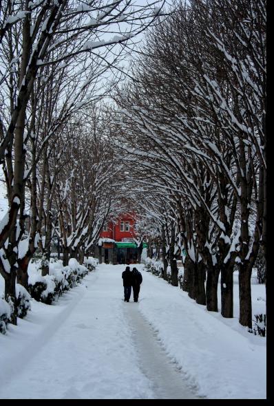 Aklar Yolu