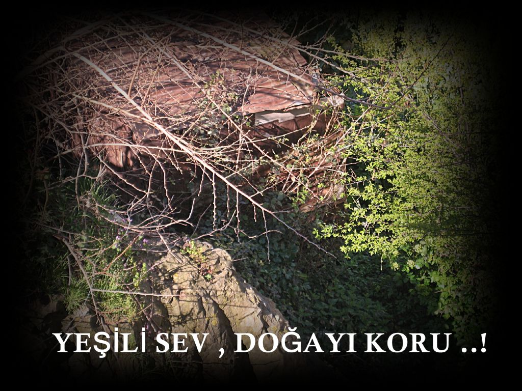 YEL SEV, DOAYI KORU..!