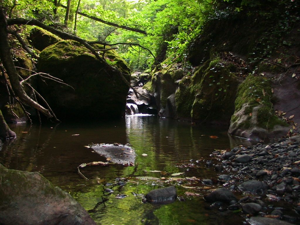 Sevdams Karadeniz