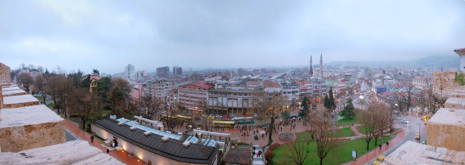 bursa