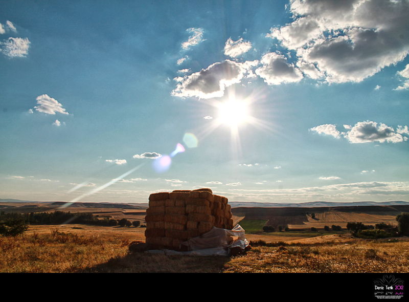 ::: ... ZAM AMPYONU :) ... ::: 