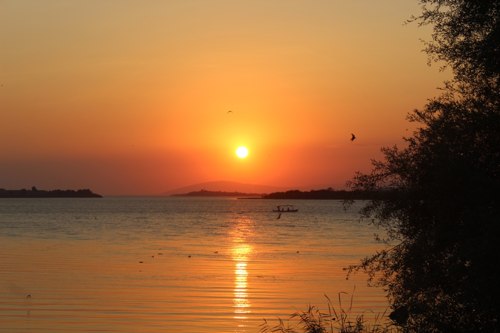 Bursa / Glyaz / Gnbatm