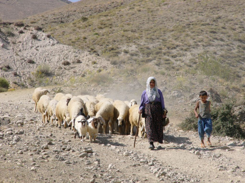 Azinan mutlu olabilmek 