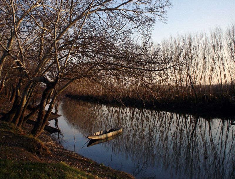 Tunca ve yansmalar