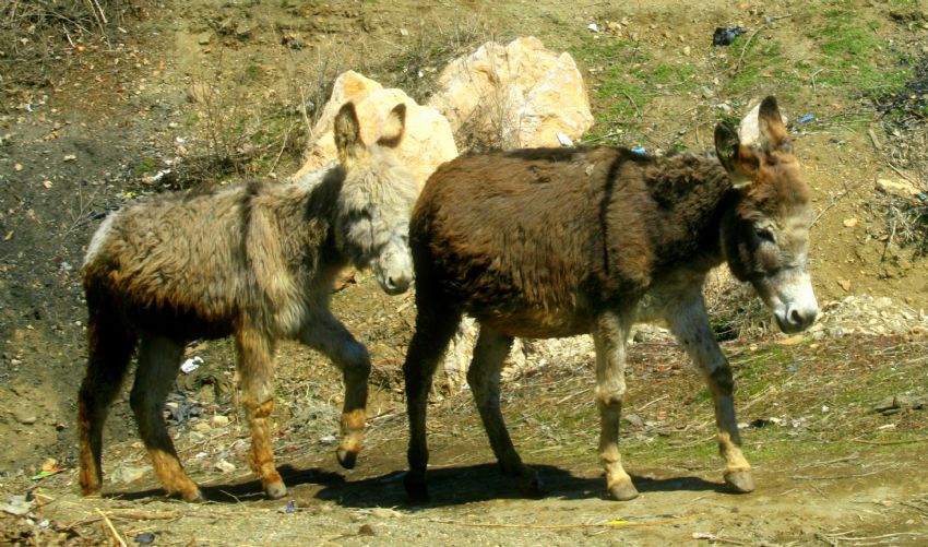 dn yine seni andm....