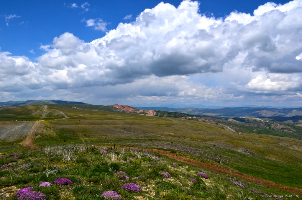 Erzincan Bozkr