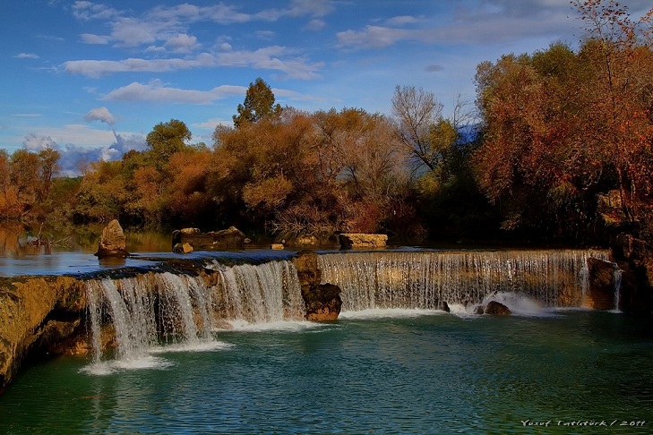 MANAVGAT ELALES