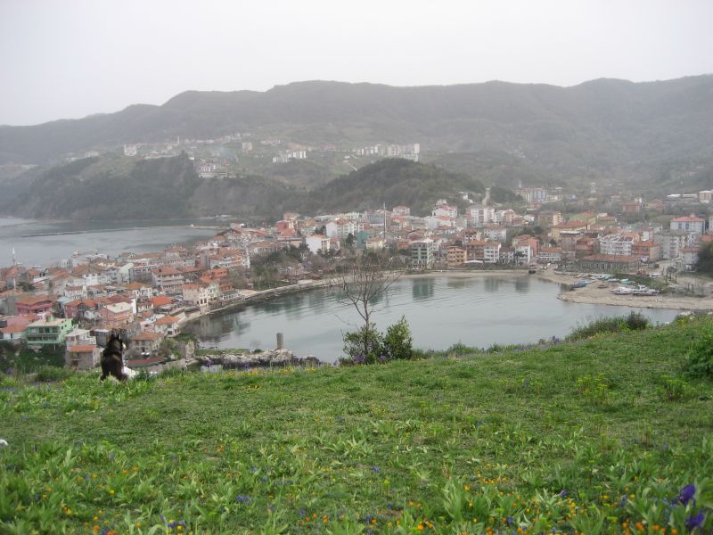 Amasra