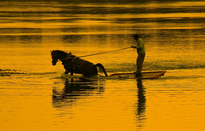 serinlemek