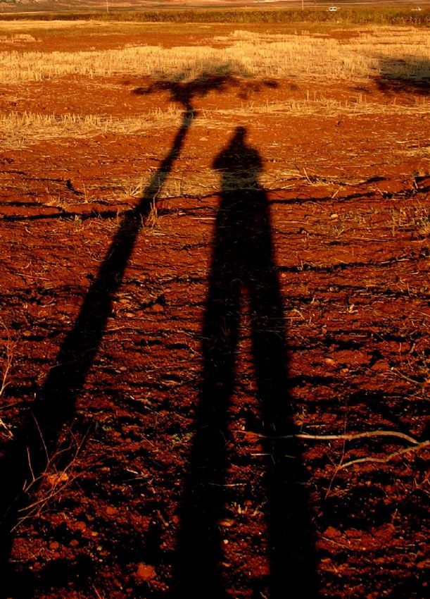 a�a� g�lgesinde g�lgelenmek...