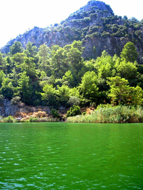 Mula Dalyan