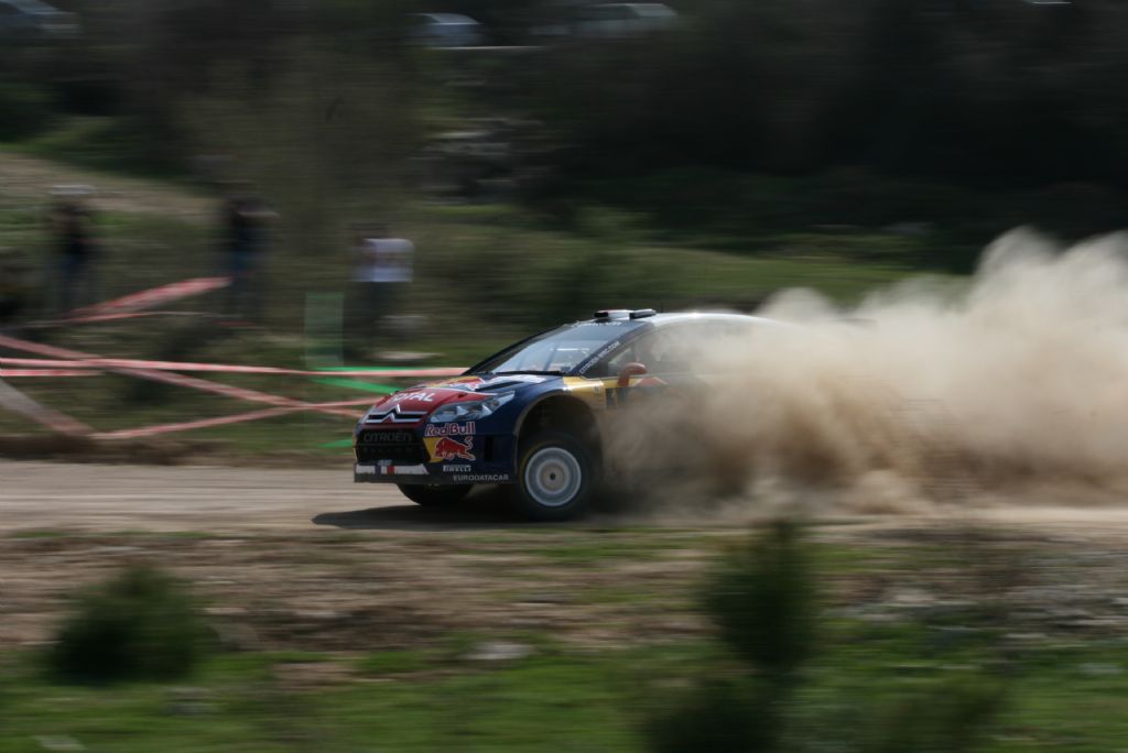 rally turkey 2010