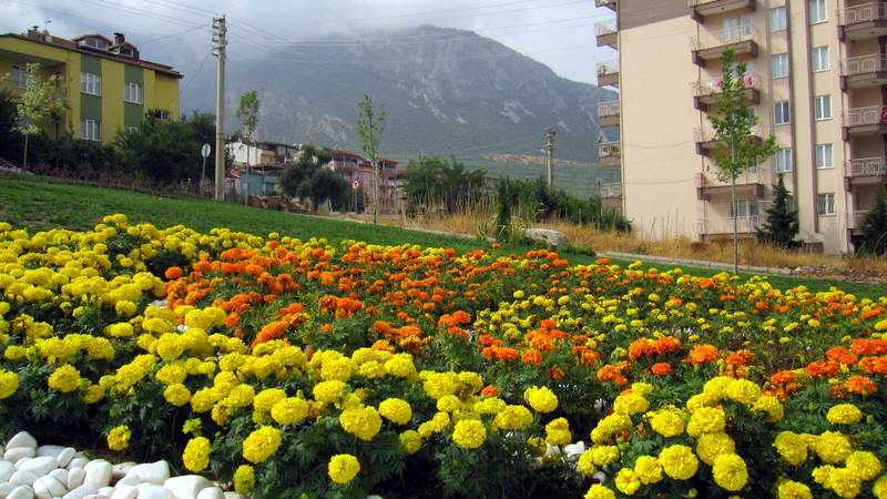 Saray caddesi yan