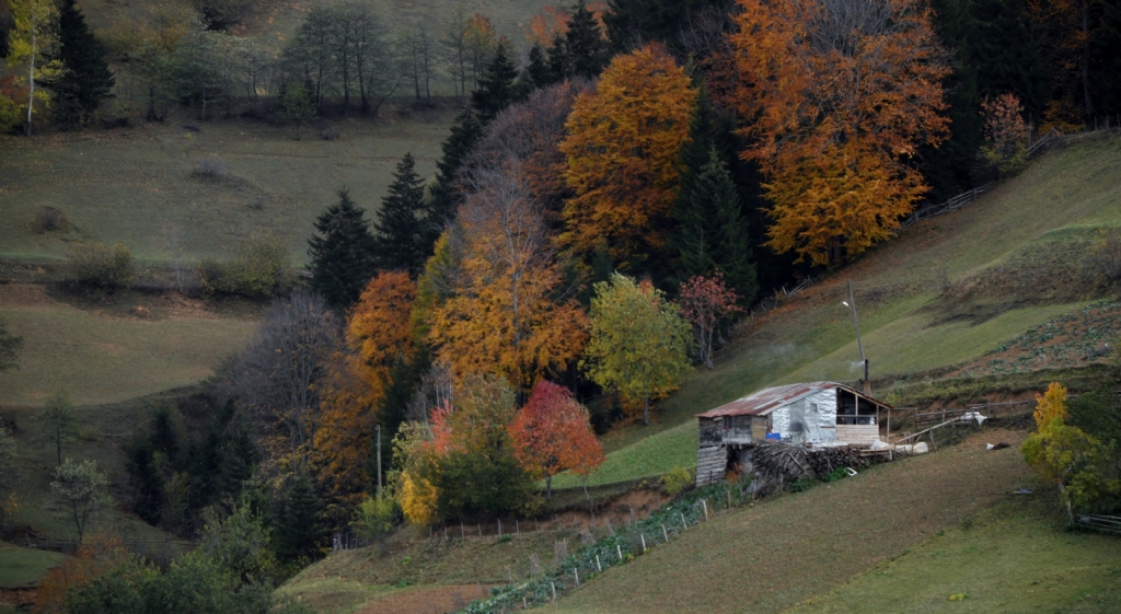 Son Bahar ve Yayla Evi