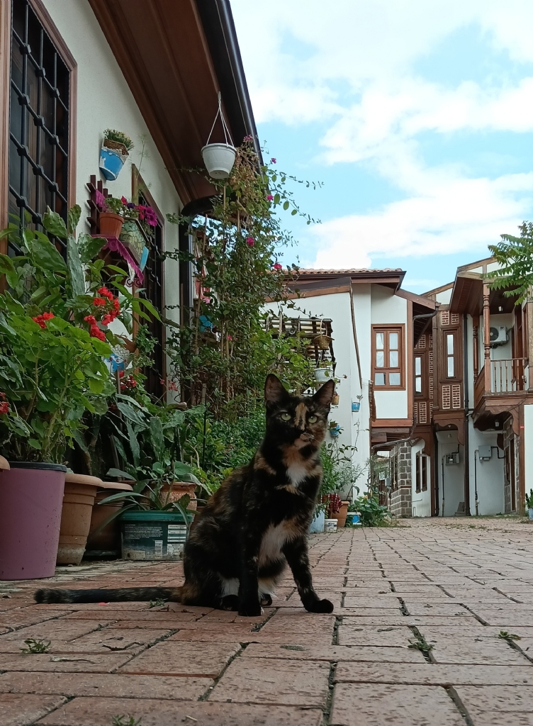 Eski Ankara
