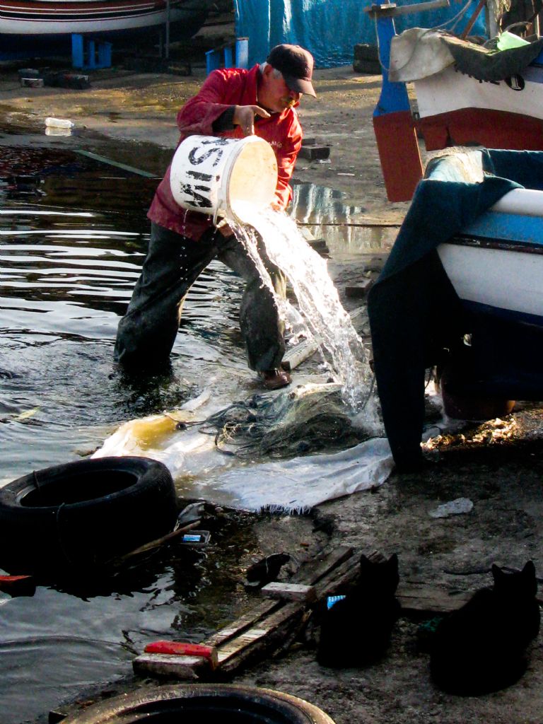 Ekmeini sudan kazananlar