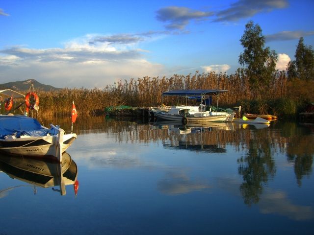 azmak-akyaka