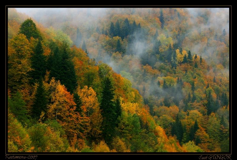 Sonbaharda Kastamonu...